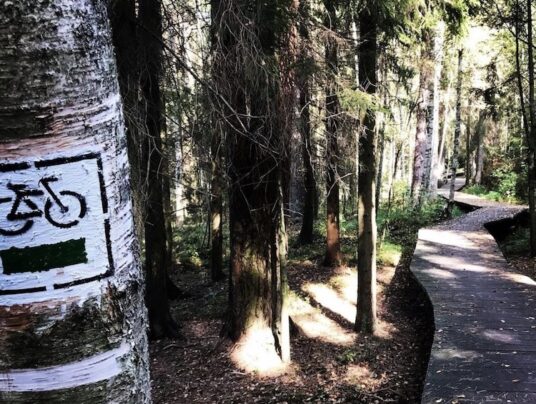 Cycling trips around the Suwałki Region, photo: gravel - bike - news from SIRVIS - Lake Serwy - Suwałki Region