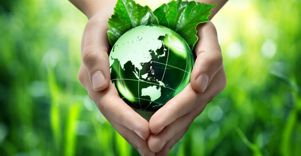 ECO SERVICE