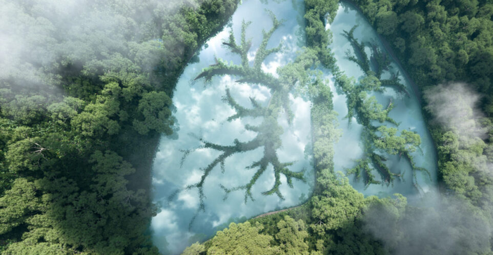 I breathe Nature